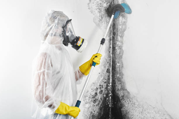 Best Air Quality Testing for Mold Spores  in Versailles, IN