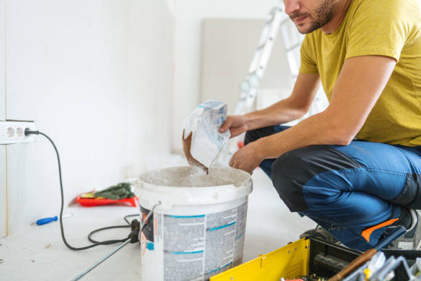 Best Emergency Mold Remediation  in Versailles, IN