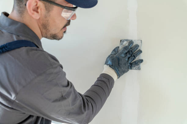 Best Residential Mold Inspection & Testing  in Versailles, IN