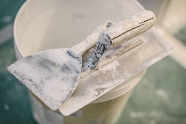 Best Environmental Consulting for Mold Prevention  in Versailles, IN